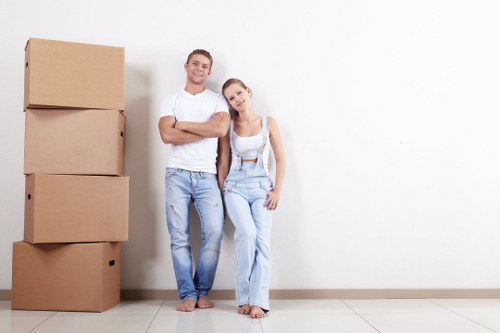 Professional packing services for a Hollandpark home move