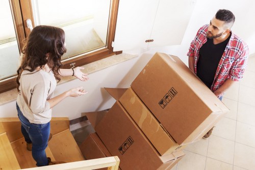 Cookie categories used by Hollandpark removals