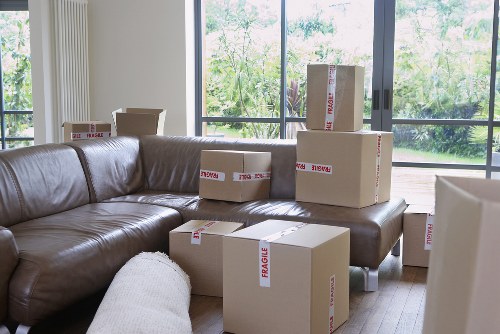 Packing and organizing household items for a Holland Park move